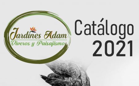 CATALOGO ES 2019-2020-com_page-0001